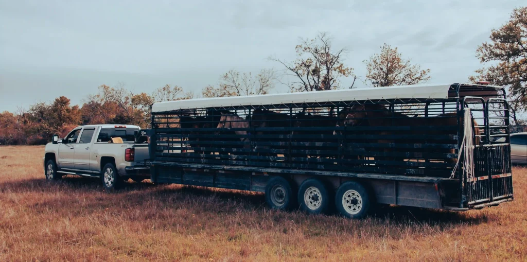 heavy trailer
